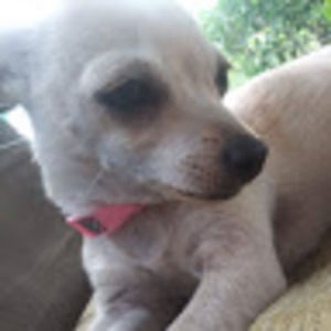 Meet your Posher, Jolissa